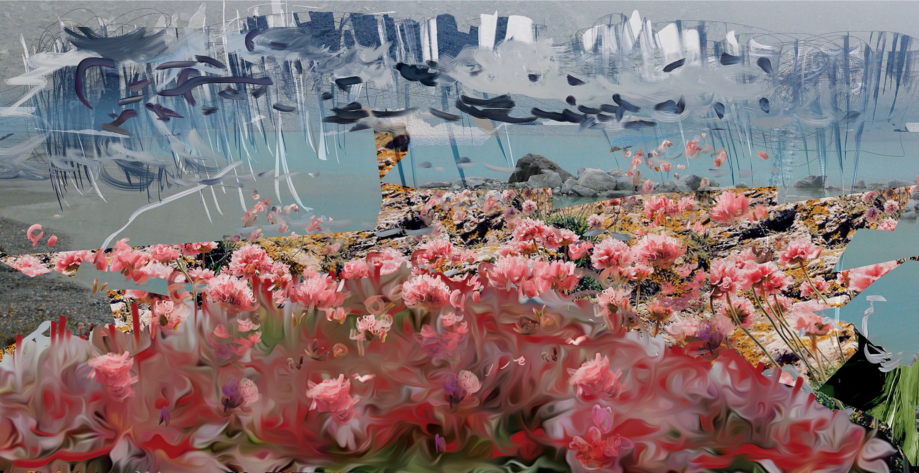 petra cortright